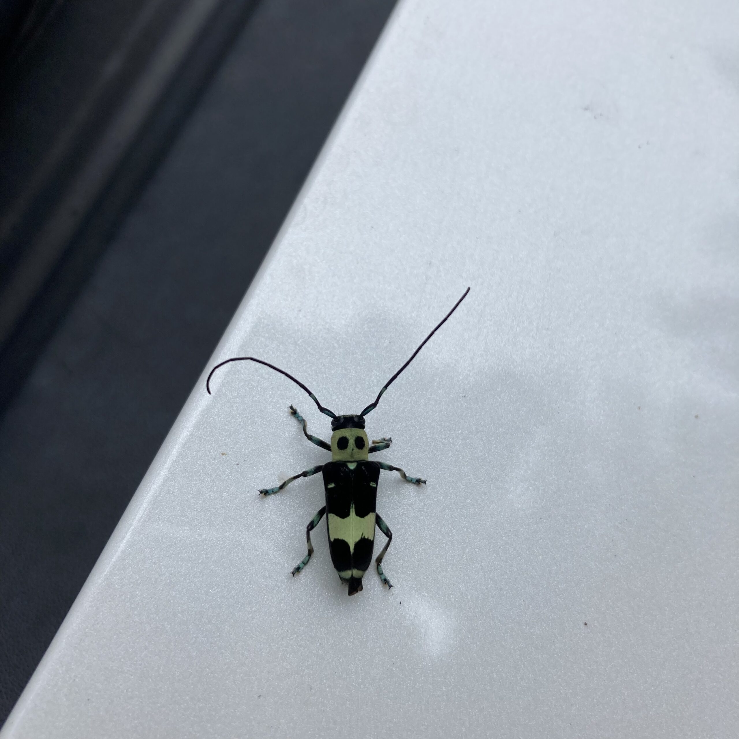 理性とは何か？ 佛法学舎ダミタ僧房・ウパサマ道場