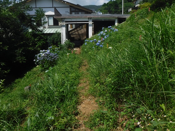 atami-forest-kusakari