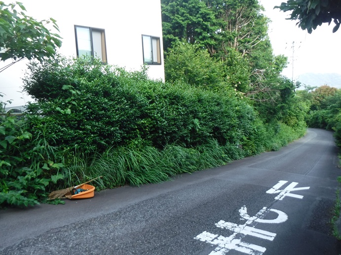 atami-forest-kusakari-douro1