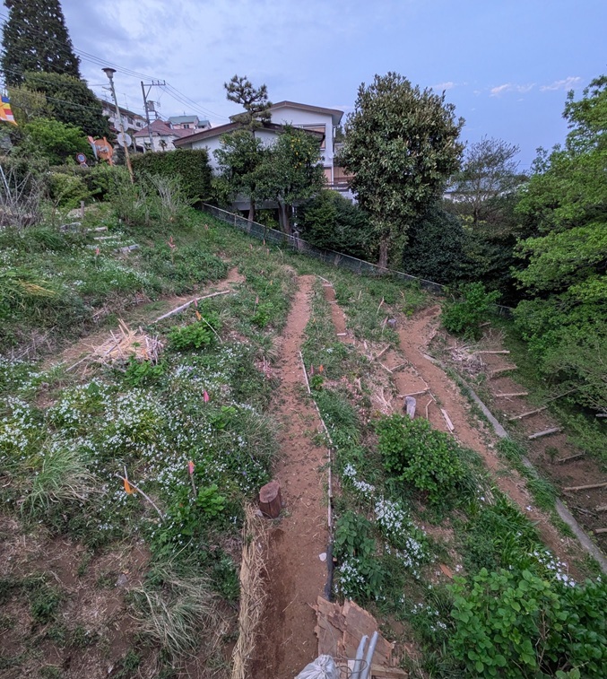 atami-forest-kusakari-zenkei1